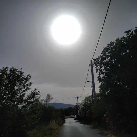 Only Sun *